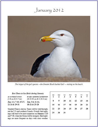 Birdwatcher's Jan