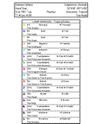 Arabic Lunar Mansions in Solar Fire